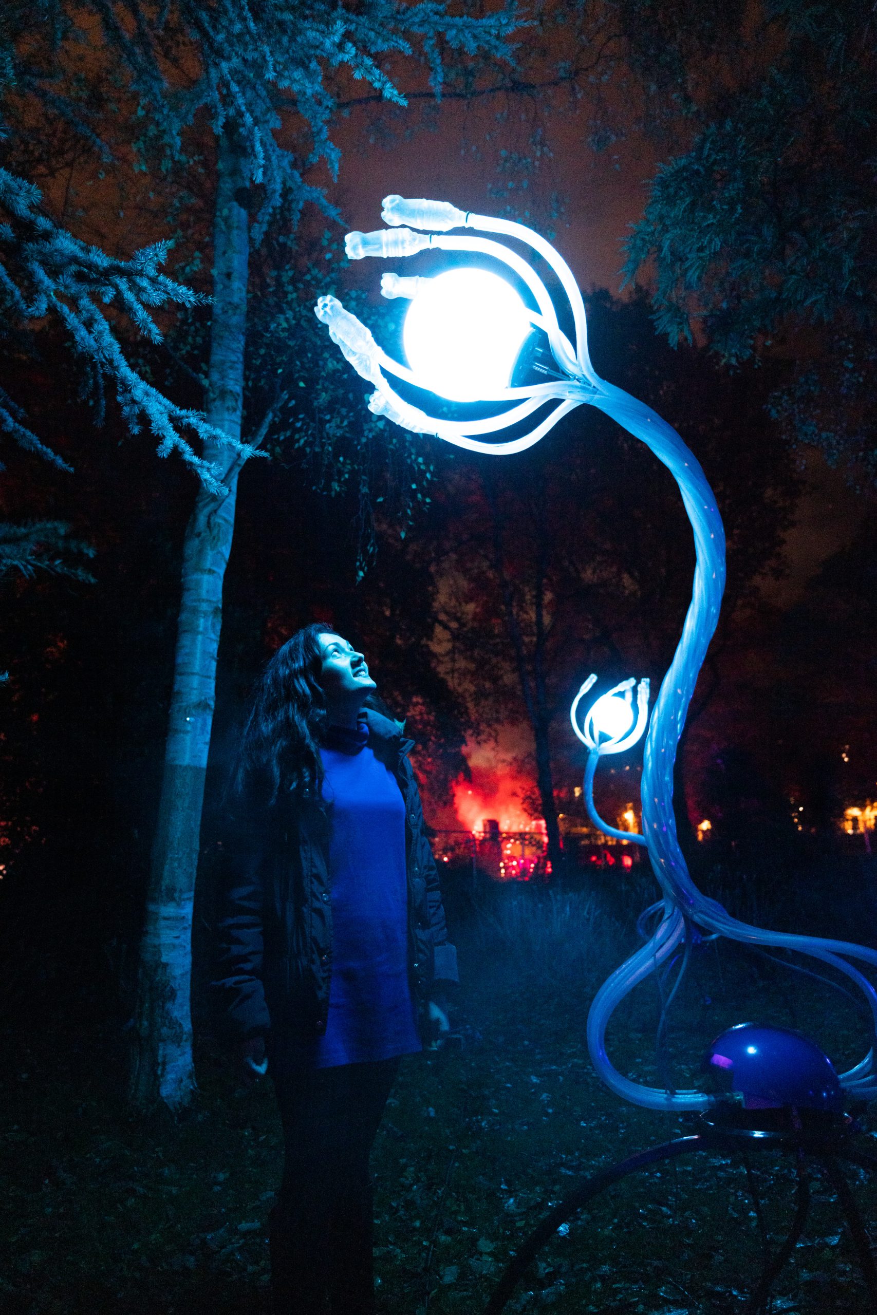 Woman looking up at a glowing blue light sculpture shaped like a plant in a nighttime forest setting.