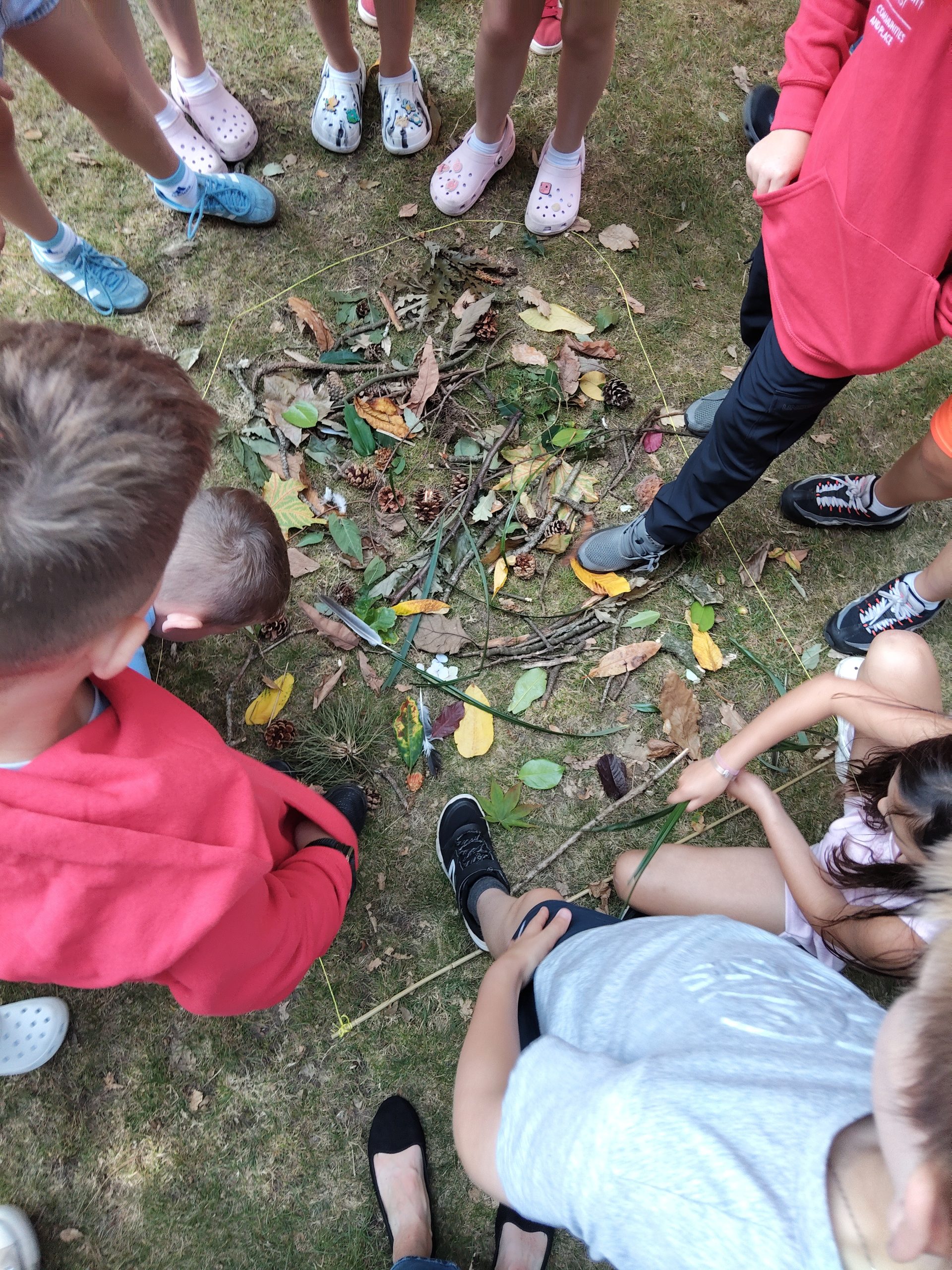 BIODIVERSITY WORKSHOP: Biodiversity in our Backyards