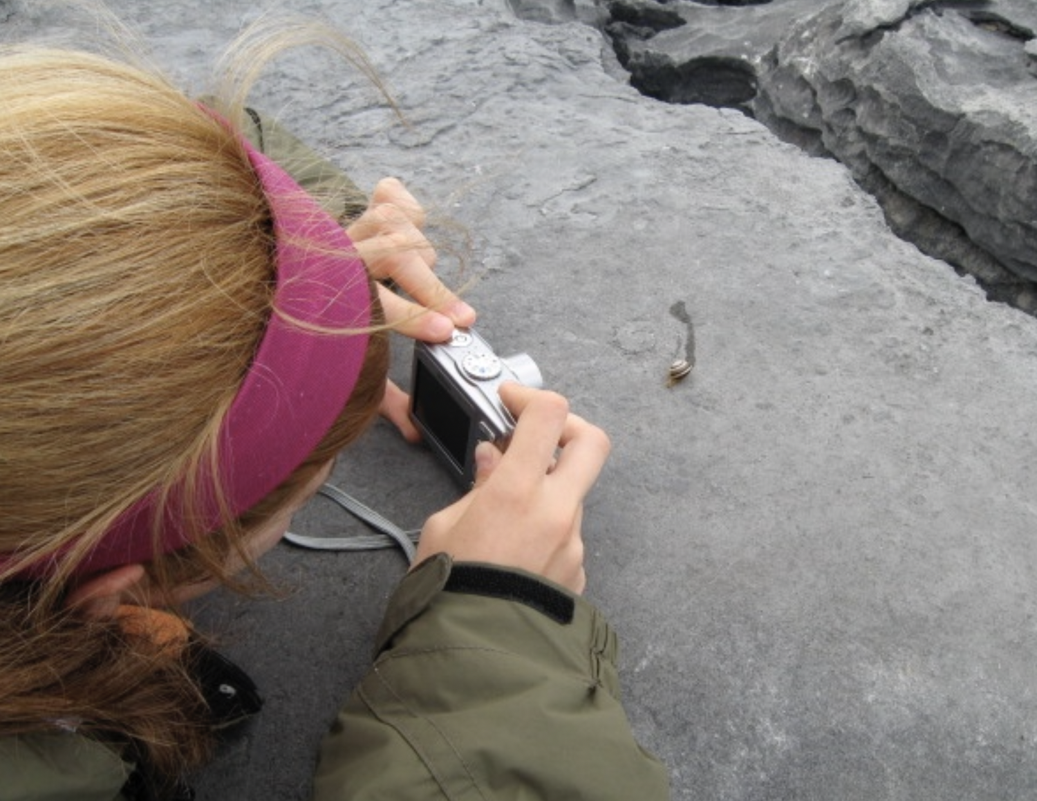 Science Week City Fossil Walk! / CmereTilITellYe