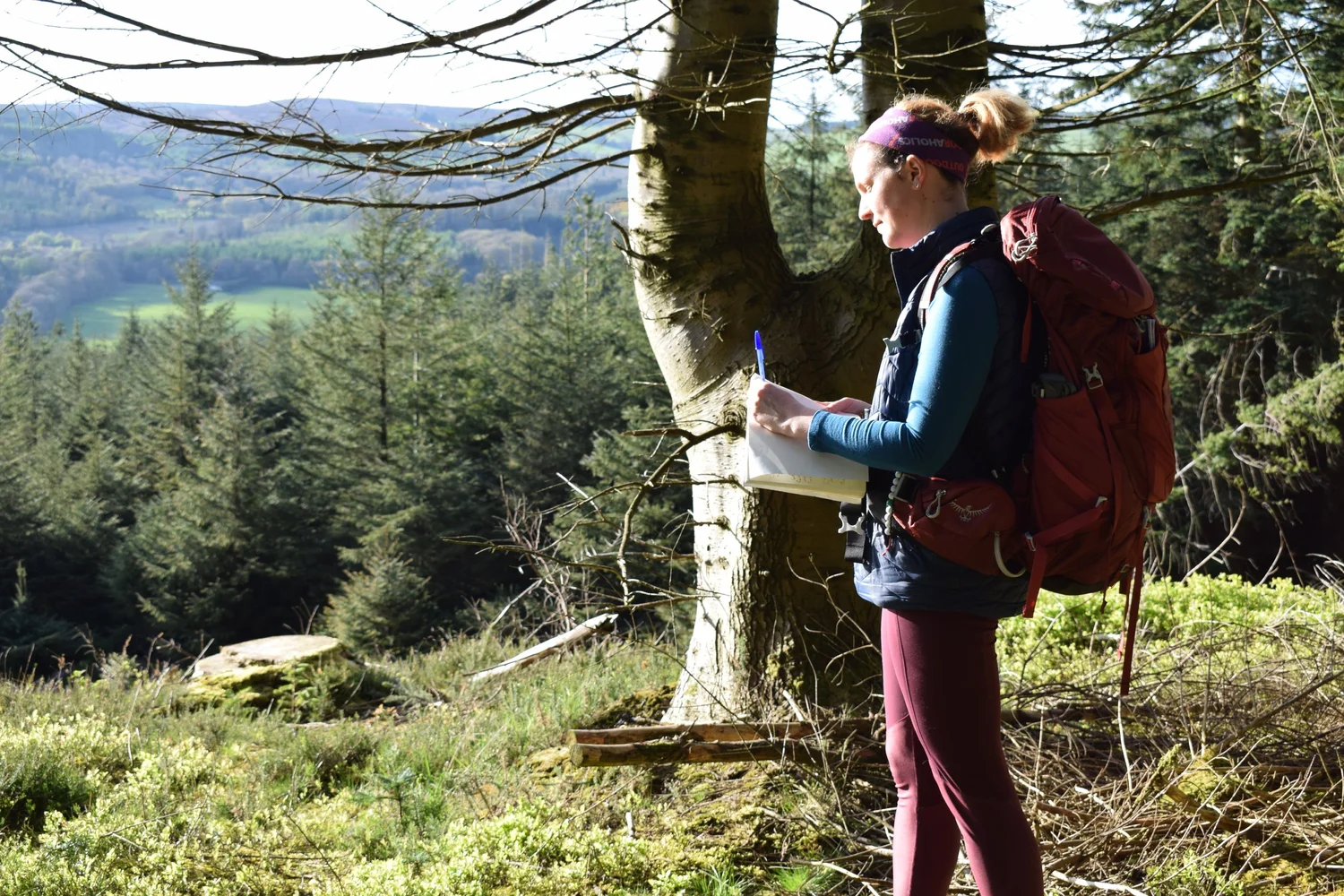 Earth Diaries – guided walk and nature journaling / CmereTilITellYe