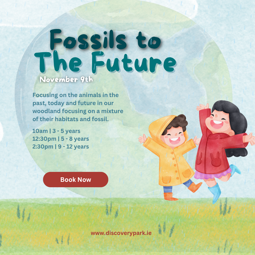 Fossils to the Future (3-5 year olds)
