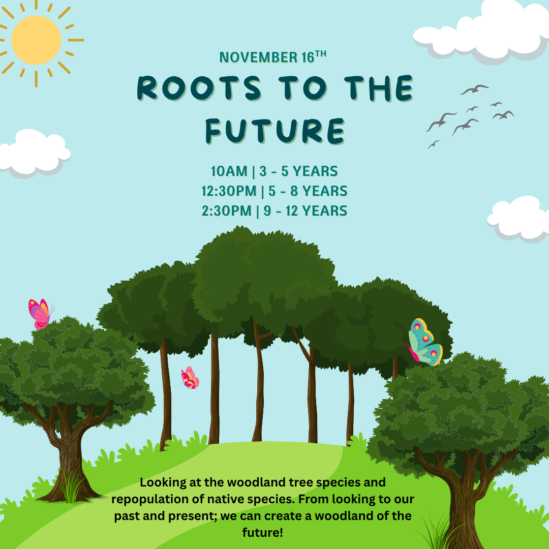 Roots of the Future (3 – 5 year olds)