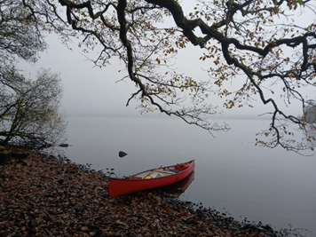 Riverlife Kayak exploring (18 yrs+)