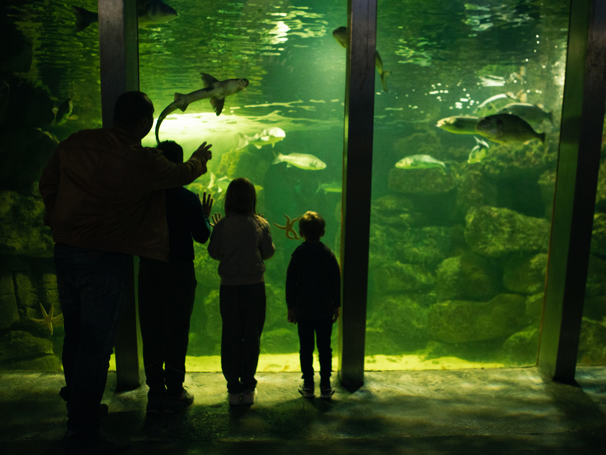 Then, Today and Tomorrow – Exploring a Changing Ocean Around Us