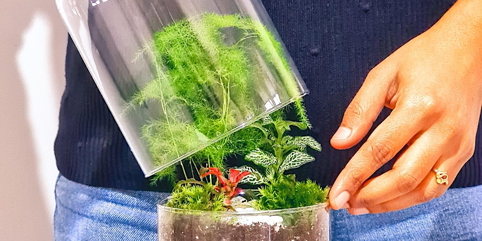 Pocket Gardens – Build Your Own Terrarium / CmereTilITellYe
