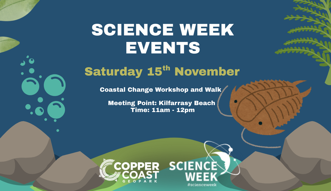Coastal Change Workshop and Walk