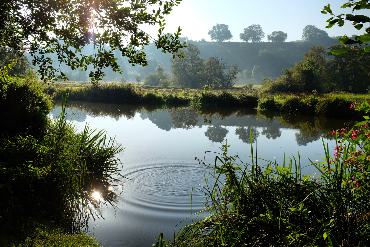 Ripples in a river