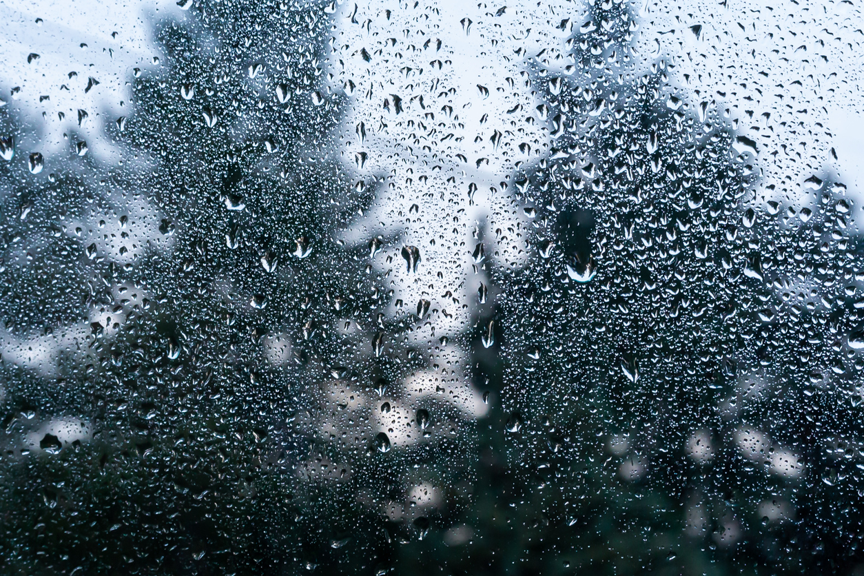 Rain on a window